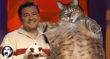RICKY GERVAIS FATTY FEUD